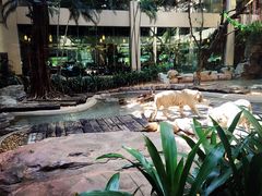 -白虎自助餐厅·真老虎·景观自助餐厅(广州长隆酒店)