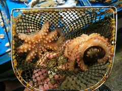 -大东海海鲜酒楼(渔人码头总店)