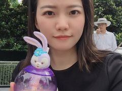 -迪士尼火鸡腿