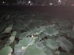 -十吉老砂锅(天生丽街生活馆店)