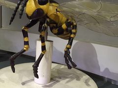 -陕西自然博物馆