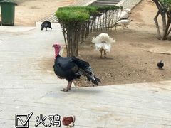 -森林公园(尖草坪区)