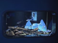 -重庆欢乐海底世界