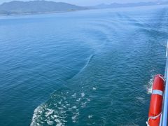 -千岛湖东南湖区