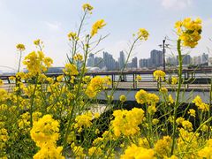 -無邪日式甜品(世博源店)