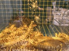 -渔满仓海鲜渔家(象山二店)