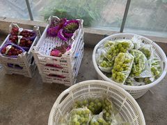 -马陆小张葡萄园农家乐