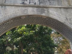 -长洲岛