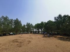 -东郊湿地公园
