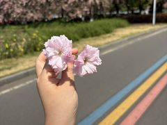 -南京奥林匹克体育中心