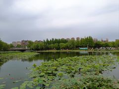 -前关湿地公园