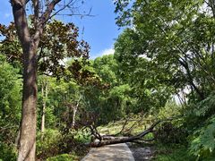 -昆山城市生态森林公园