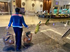 -西双版纳融创皇冠假日度假酒店