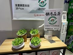 -新大新1993贵州山里味(青云市集店)