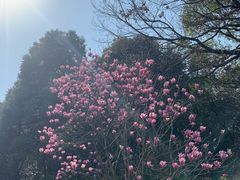 -宝界山林公园