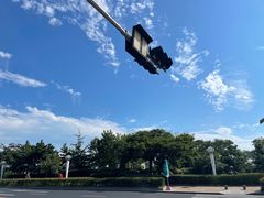 -青岛海景花园大酒店·白果树餐厅青岛菜