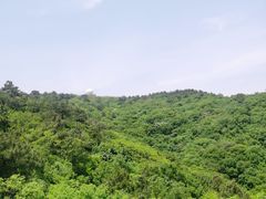-南京市无想山景区