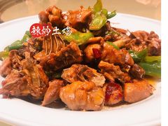 辣炒土鸡-海岛渔村大酒店(云霄路店)