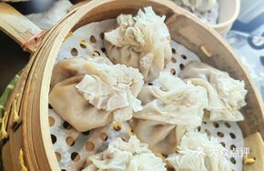 Beef and Onion Dumplings