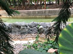 -龙达温泉生态城