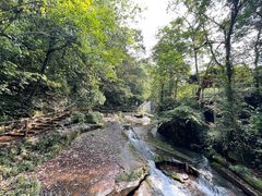 -碧峰峡风景区