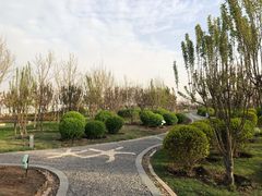 -东疆建设开发纪念公园