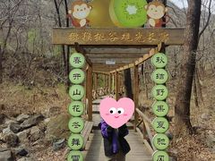 -大岭沟猕猴桃谷风景区