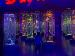 -梦幻海洋王国(吾悦广场张家港店)