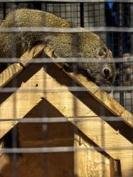 -酷嗒动物文化乐园(cutezoo西溪乐天城店)