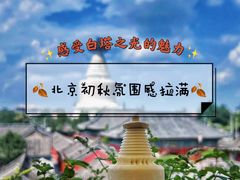 -妙应寺白塔