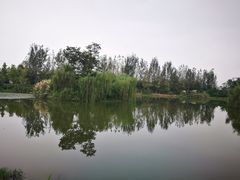 -白鹭湾湿地公园