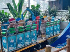 -南宫五洲植物乐园