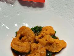 捞汁马粪海胆-怡情荟•海鲜青岛菜(五四广场旗舰店)