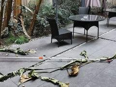 -泊寓(真如上海西站旗舰店)