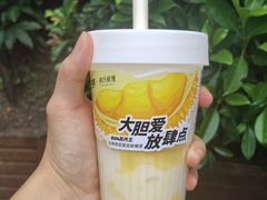 -树夏(锦里店)
