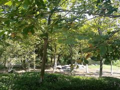 -白马涧龙池景区