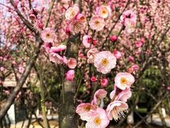 -白塘生态植物园