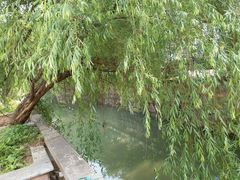 -陆稿荐观前街店