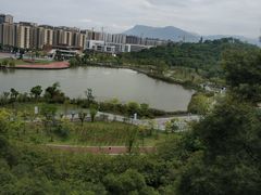 -飞凤山奥体公园
