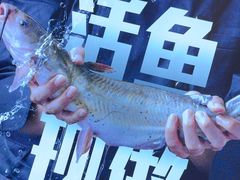 -老板恋上鱼(恒隆广场店)