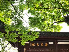 -西湖外事游船(花港观鱼码头)