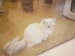 -巴黎春天(陕西路店)