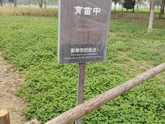 -汉长安城未央宫国家考古遗址公园