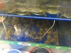 -阳澄湖大闸蟹·琼灵阁牌品牌连锁(吴中总店)