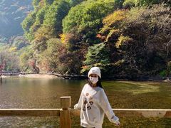 -少华山国家森林公园