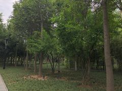 -唐城墙遗址公园