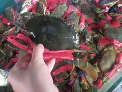 -马王堆海鲜水产市场