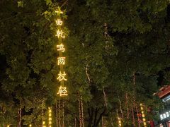 -大雁塔北广场音乐喷泉