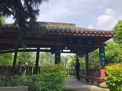 -龙头寺公园