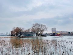 -济南大明湖景区